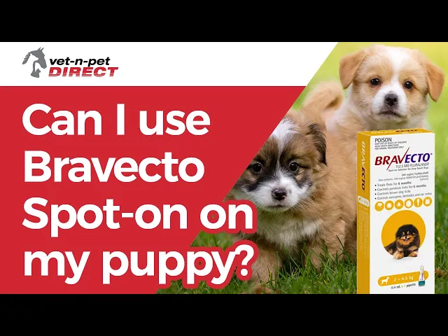 Bravecto Spot-On for Dogs 40kg-56kg (Pink) - 1 Pack