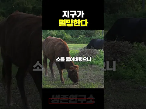 지구가 멸망한다