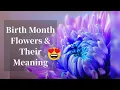 Birth Flowers By Month And Meaning What s Your Birth Flower Says About You