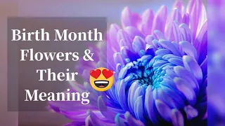 Birth Flowers By Month And Meaning What s Your Birth Flower Says About You