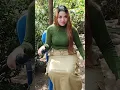 Pesta panen (elvy sukaesih) SUSI BULBUL (cover dangdut)
