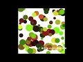processing minim sample