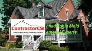 Philadelphia Mold Removal Inspection Testing and Estimate 215-274-0085