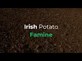 Deep learning and explainable AI for classification of potato leaf diseases