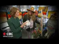 If we only had the brains to build better scarecrows