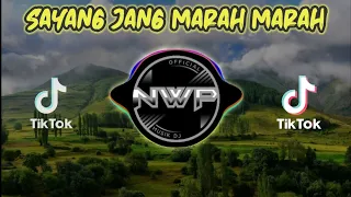dj sayang tolong jang marah marah tik tok viral 2020