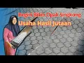 Download Lagu BIKIN OPAK SINGKONG HASIL JUTAAN, BEGINI CARANYA