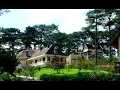 Download Lagu Good Morning Dalat Coffee Music | Relaxing Morning Ambience