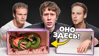 Обмани всех не ЗНАЯ что ВНУТРИ (ft. Ян, Тоша че, Пекка)