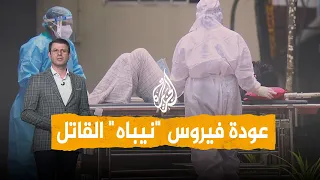 شبكات   بلا علاج ووفياته مرتفعة   فيروس  نيباه  القاتل يظهر في الهند دندنها