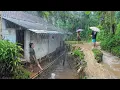 Download Lagu SUASANA SORE YANG TENANG, TURUN HUJAN DAN KABUT DI KAMPUNG NAMBAH BETAH, PEDESAAN SUNDA JAWA BARAT