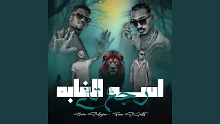 اسد الغابه رجع تانى دندنها