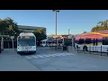 Glendale Beeline Bus Spotting - 2025