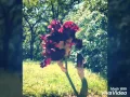 I went to the Iris farm