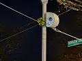 Flowers On Speed Camera
