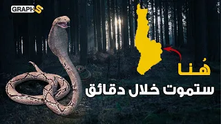 يحكمها ثعبان وخالية من البشر وبها كنز ثمين حكاية الجزيرة الأخطر في العالم  يحكمها ثعبان وخالية من البشر وبها كنز ثمين حكاية الجزيرة الأخطر في العالم