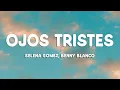 Download Lagu Selena Gomez, benny blanco - Ojos Tristes (with The Marías)