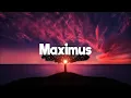 Miley Cyrus - Wrecking Ball (DJ Max Remix)