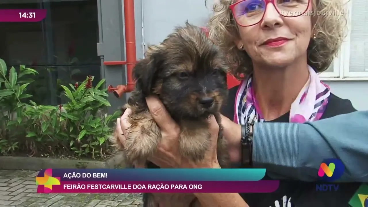 Ação do bem! Feirão Festcarville doa ração para ONG