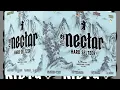21 Content Drink Responsibly Nectar Hard Seltzer