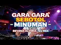 Lagu Gara Gara Sebotol Minuman – DJ Mix Viral Paling Bikin Goyang! | Revina Alvira
