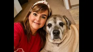 Coping when you lose your furry friend
