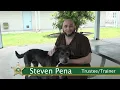 PBSO Inmates Train Therapy Dogs
