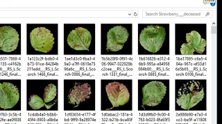 image classification with intellibot doesnt require any special skills intellibot rpa