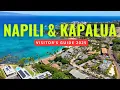 Napili Kapalua West Maui Things To Do in 2025 - Sea Turtle Snorkeling Beaches Restaurants more