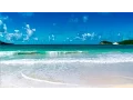 Download Lagu Bruit de la mer, Chant des Oiseaux - Détendre...