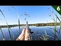 Crazy MIXED BAG In A HIDDEN MARSH Limited Out Duck Hunting 2025