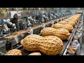 Inside a Modern Peanut Processing Factory: From Raw Peanuts to Crunchy Peanut Butter (Full Process)