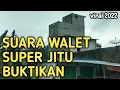 Download Lagu VIRAL CARA CEPAT MENDATANGKAN WALAT KONSISTEN DG SUARA INAP