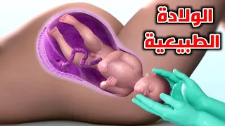 شاهد الولادة الطبيعية من البداية لنهاية Natural Childbirth From Start To Finish 