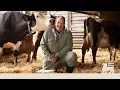 Download Lagu Limburg in de kijker: ontdek biomelk van Luc uit de Voerstreek