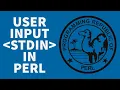 Perl Tutorial STDIN Input For Beginners 2022