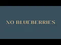 Download Lagu No Blueberries - DPR IAN (ft. DPR LIVE, CL) (Lyrics Video)