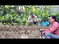 Download Lagu The girl started buying vegetables to grow and bring to the market to sell