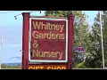 Visit to Whitney Gardens in Brinnon Washington on HWY 101