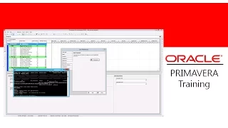 How to use SQLite editor on a Primavera P6 standalone database