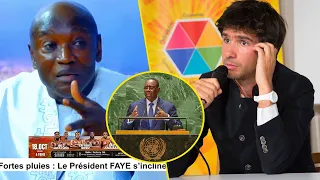 "Macky ne deviendra pas SG de l'ONU" Aly Ngouille Ndiaye ignore royalement Juan Branco