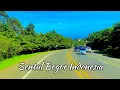Lagu Indonesia In 4k | Driving in Indonesia | Road Trip