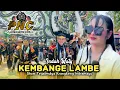 Download Lagu KEMBANGE LAMBE • INDAH WATY • PUTRA NAFITA CAYA • Show Tegalmulya Krangkeng Indramayu