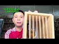 Download Lagu 12/7 Hoạ mi bổi chân mỏ vàng và rất nhiều mi già rừng