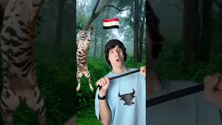 قصه المصري والعراقي والسعودي في الغابه  قصه المصري والعراقي والسعودي في الغابه