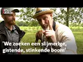 Download Lagu Deze kever is hier door klimaatverandering… en hij is ROOD | RTV Utrecht