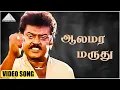 Lagu ஆலமர மருது HD Video Song | பெரிய மருது | விஜயகாந்த் | ரஞ்சிதா | இளையராஜா