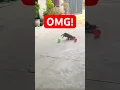 Download Lagu Slow Motion Puppy Plezier! #tungtung #vertraagd #kort