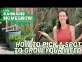 How to pick a spot to grow weed Leafly Homegrow Series