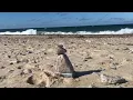 Corporation Beach Dennis Massachusetts ocean waves sounds for sleeping
